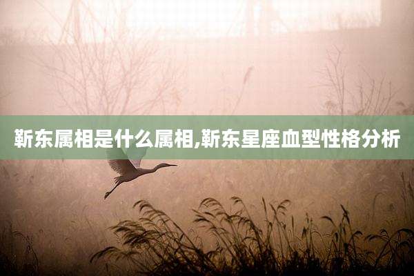 靳东属相是什么属相,靳东星座血型性格分析