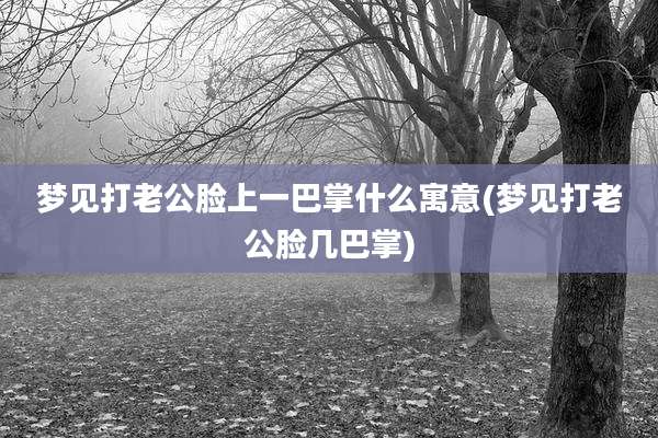 梦见打老公脸上一巴掌什么寓意(梦见打老公脸几巴掌)