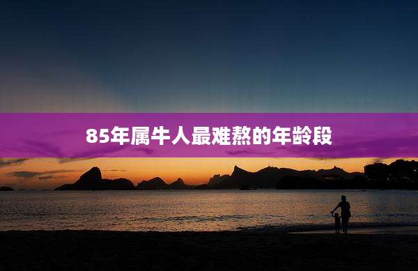 85年属牛人最难熬的年龄段
