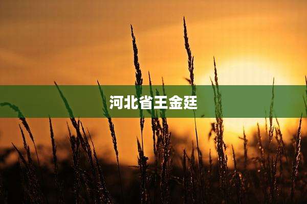 河北省王金廷