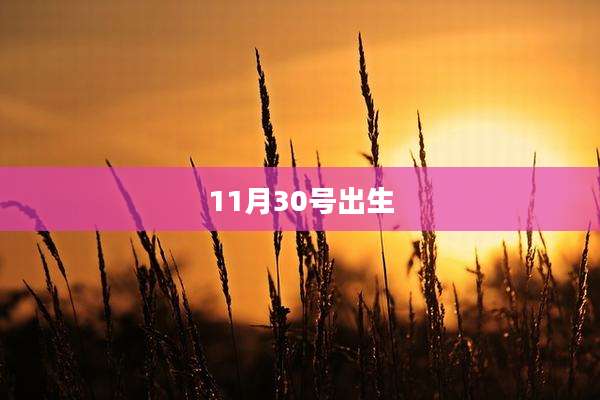 11月30号出生