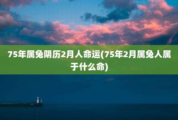 75年属兔阴历2月人命运(75年2月属兔人属于什么命)