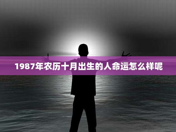 1987年农历十月出生的人命运怎么样呢