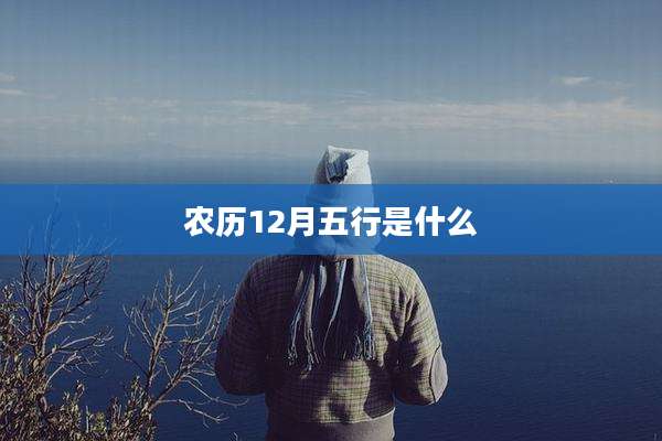 农历12月五行是什么