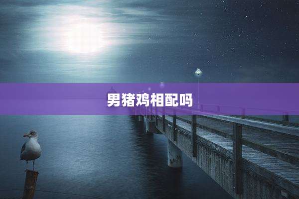 男猪鸡相配吗