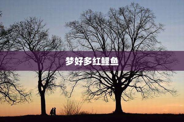 梦好多红鲤鱼