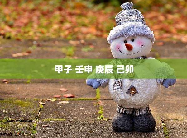 甲子 壬申 庚辰 己卯