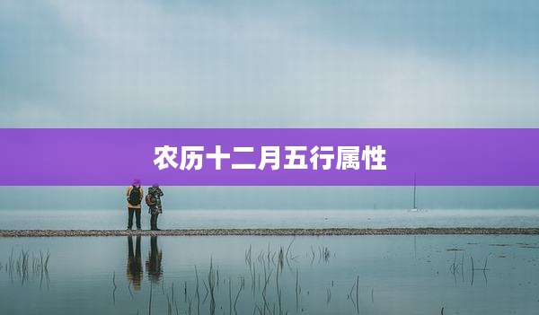 农历十二月五行属性