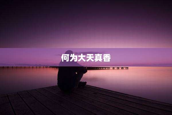 何为大天真香