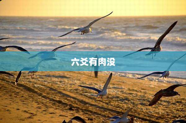 六爻有肉没