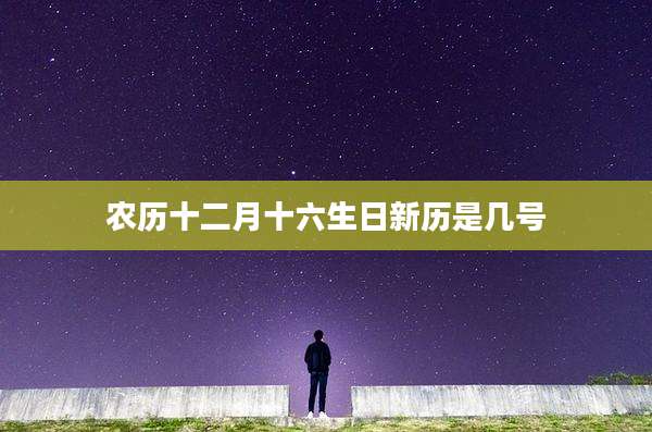 农历十二月十六生日新历是几号