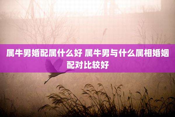 属牛男婚配属什么好 属牛男与什么属相婚姻配对比较好