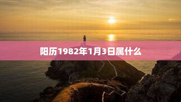 阳历1982年1月3日属什么
