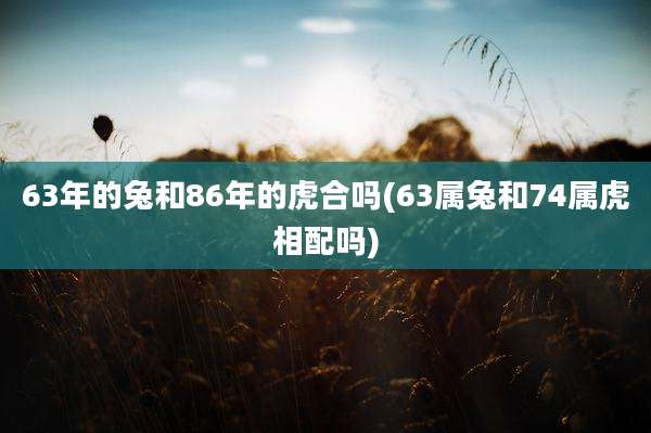 63年的兔和86年的虎合吗(63属兔和74属虎相配吗)