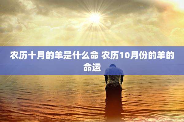 农历十月的羊是什么命 农历10月份的羊的命运