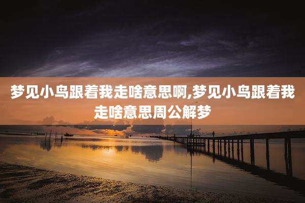 梦见小鸟跟着我走啥意思啊,梦见小鸟跟着我走啥意思周公解梦