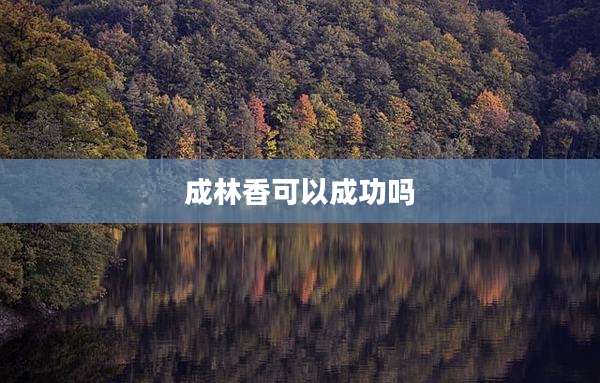 成林香可以成功吗
