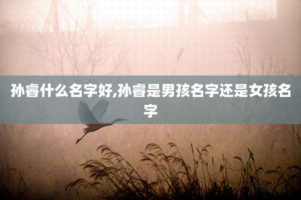 孙睿什么名字好,孙睿是男孩名字还是女孩名字