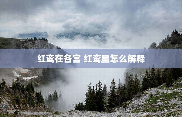红鸾在各宫 红鸾星怎么解释