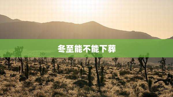 冬至能不能下葬