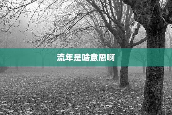 流年是啥意思啊