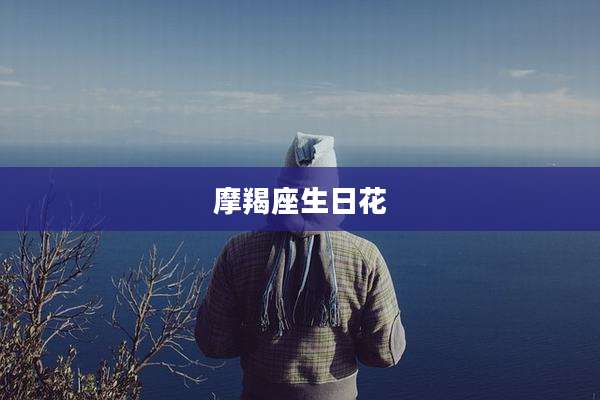 摩羯座生日花
