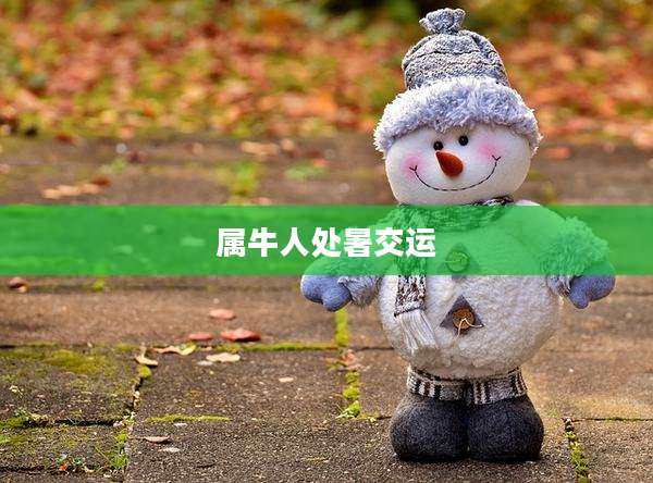 属牛人处暑交运