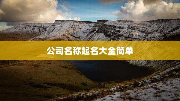 公司名称起名大全简单