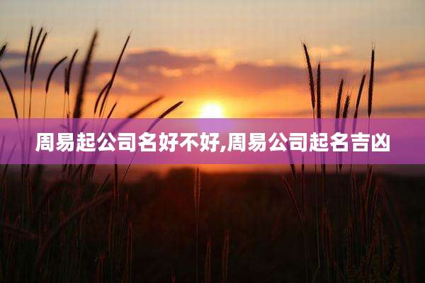 周易起公司名好不好,周易公司起名吉凶