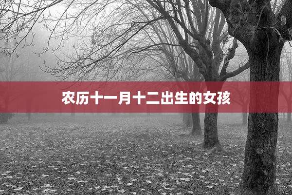 农历十一月十二出生的女孩