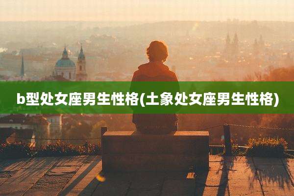 b型处女座男生性格(土象处女座男生性格)