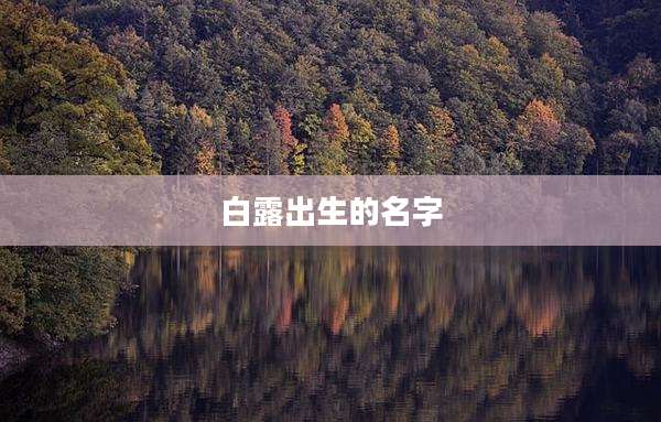 白露出生的名字