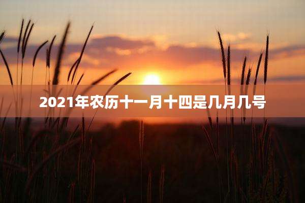 2021年农历十一月十四是几月几号