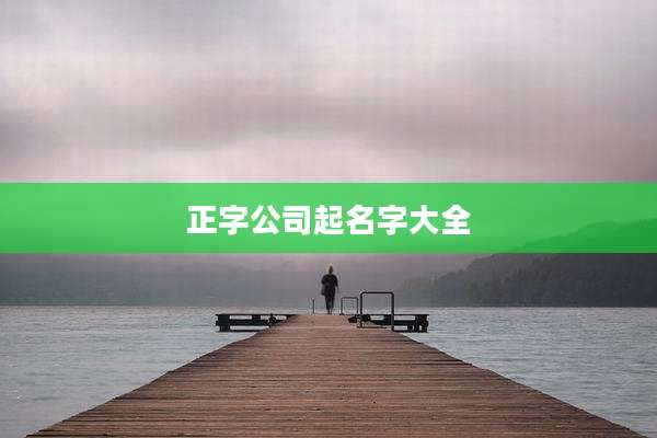 正字公司起名字大全