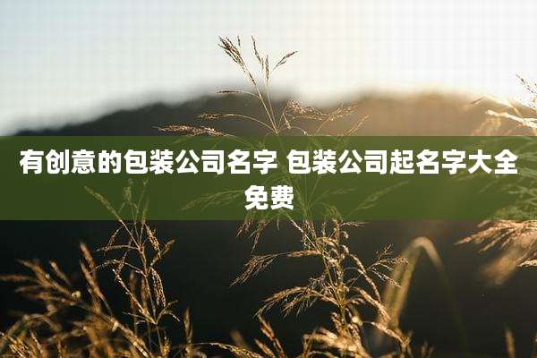 有创意的包装公司名字 包装公司起名字大全免费