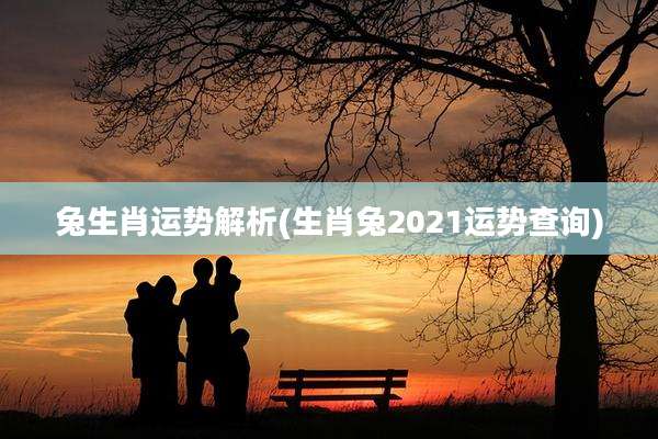 兔生肖运势解析(生肖兔2021运势查询)