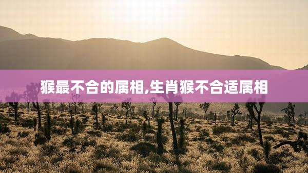 猴最不合的属相,生肖猴不合适属相