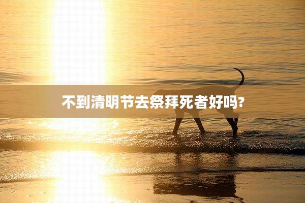 不到清明节去祭拜死者好吗?