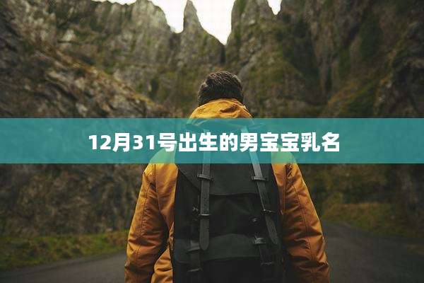 12月31号出生的男宝宝乳名