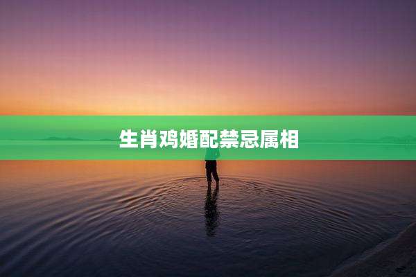 生肖鸡婚配禁忌属相