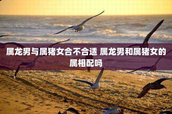 属龙男与属猪女合不合适 属龙男和属猪女的属相配吗