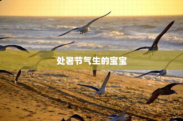 处暑节气生的宝宝