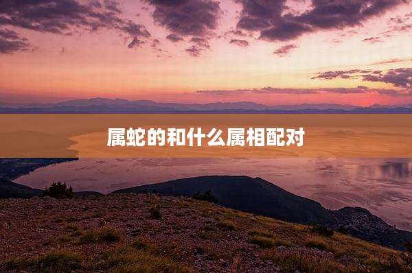 属蛇的和什么属相配对
