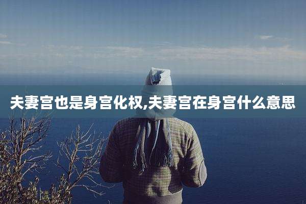 夫妻宫也是身宫化权,夫妻宫在身宫什么意思