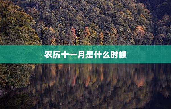 农历十一月是什么时候