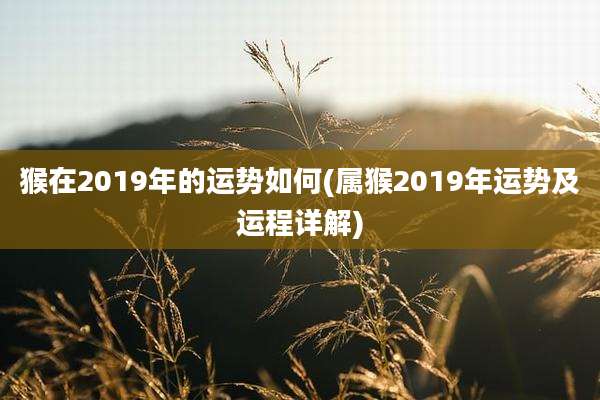 猴在2019年的运势如何(属猴2019年运势及运程详解)