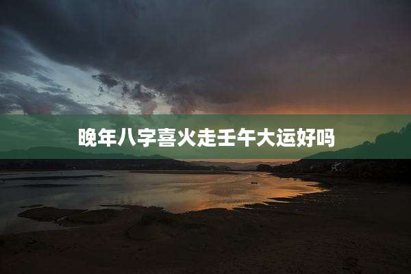 晚年八字喜火走壬午大运好吗