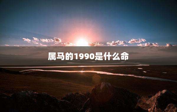 属马的1990是什么命