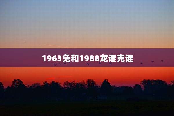 1963兔和1988龙谁克谁