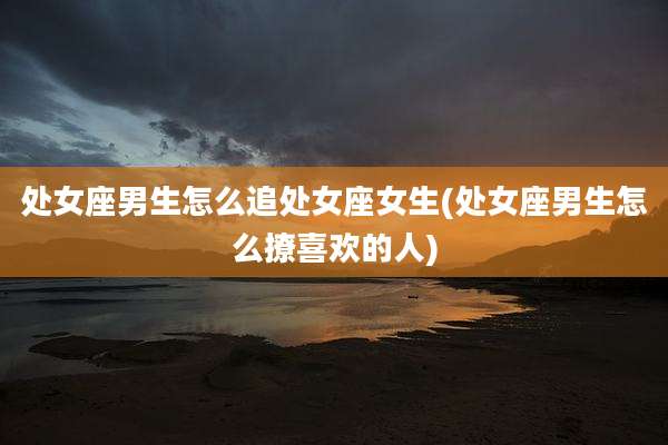 处女座男生怎么追处女座女生(处女座男生怎么撩喜欢的人)